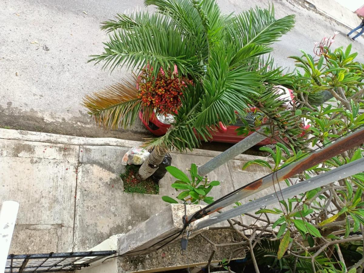 Colibri Daire Playa del Carmen Dış mekan fotoğraf